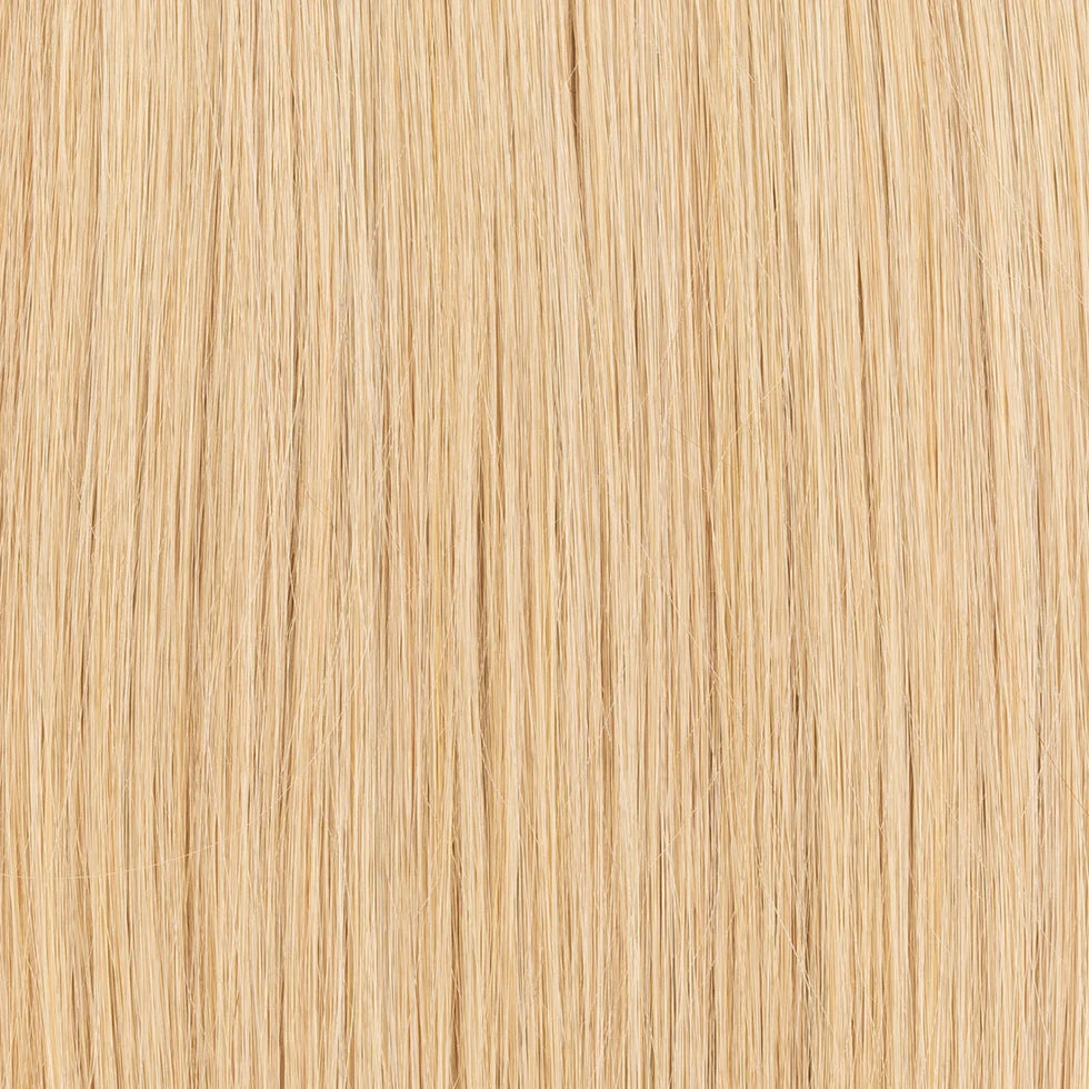 Champagnerblond A24